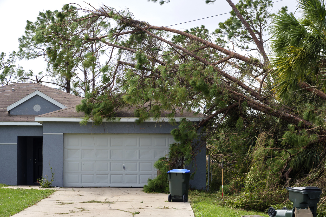 Public adjuster in Lakeland